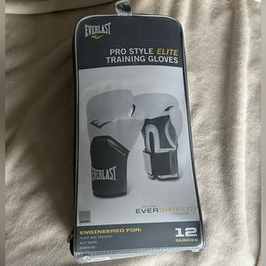 Prostyle Elite Everlast training gloves boxing gloves